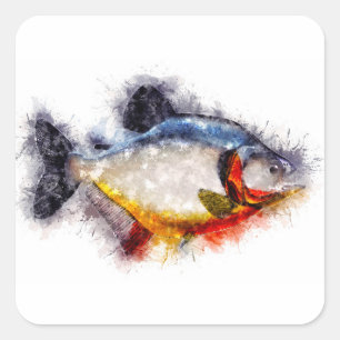 Aquarelle-Artwork des Piranha Quadratischer Aufkleber