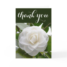 Aquarelle blanche Camellia Merci Floral fin