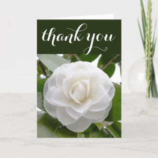 Aquarelle blanche Camellia Merci Floral fin