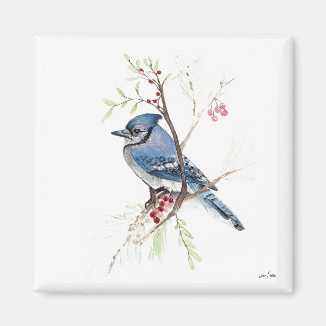 Aquarelle bleu Jay Bird Magnet d'art (Devant)