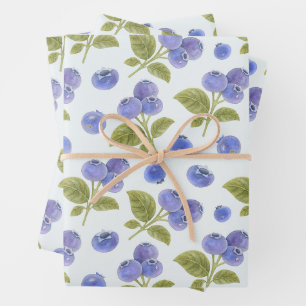 Aquarelle Blueberry Fruit avec Feuille Bleu clair