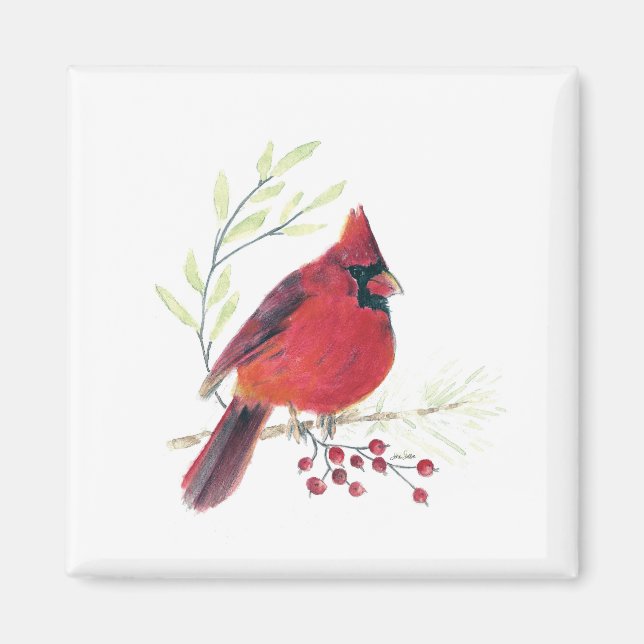 Aquarelle cardinale Magnet d'art (Devant)
