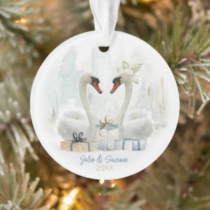Aquarelle Couple de cygne d'hiver