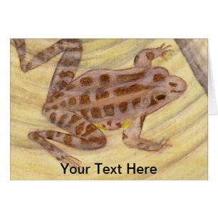 Aquarelle de la grenouille de Pickerel