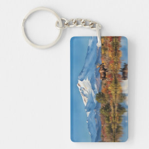 Aquarelle de l'Alaska du parc national de Denali