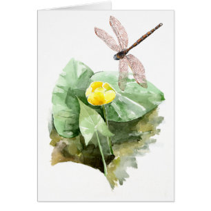 aquarelle de nénuphar