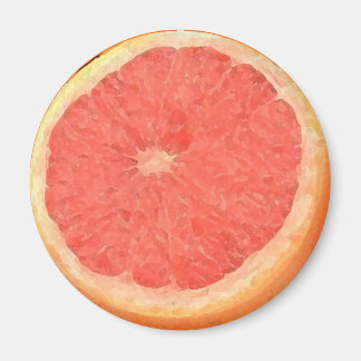 Aquarelle de pamplemousse - Aimant