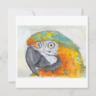 Aquarelle de perroquet sur carte plate