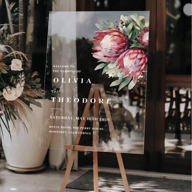 Aquarelle de Protea autochtone Boho floral Botaniq (Créateur téléchargé)