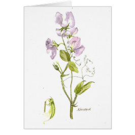 Aquarelle douce de pois doux
