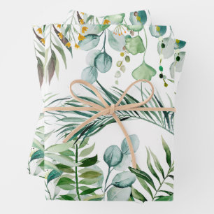 Aquarelle Eucalyptus Feuille Motif botanique