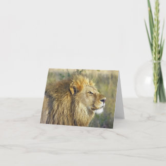 Aquarelle Majestic Lion carte blanche à l'intérieu