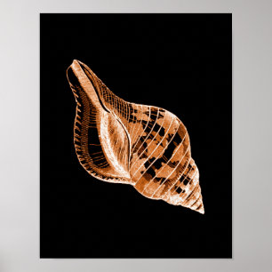 Aquarelle marine côtière de coquille affiche noire