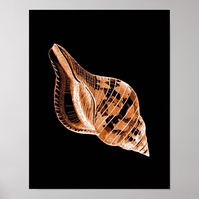 Aquarelle marine côtière de coquille affiche noire (Devant)