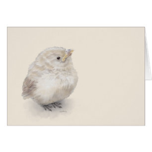 Aquarelle numérique Baby Sparrow