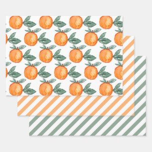 Aquarelle orange Citrus vert Feuille rayures