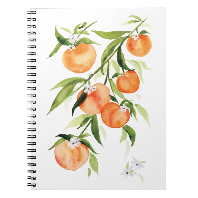 Aquarelle pêche fruit d'été Carnet spiral (Devant)