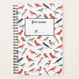 Aquarelle peinte à la main décoration d'oiseau.