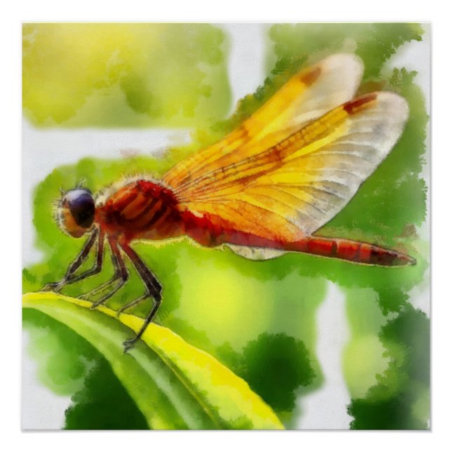 Aquarelle Poster (Vorderseite)