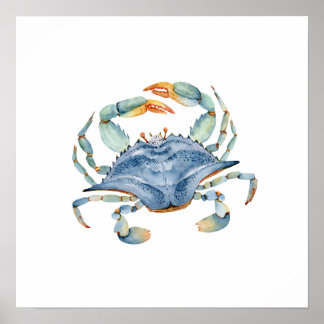Aquarelle Poster du crabe bleu