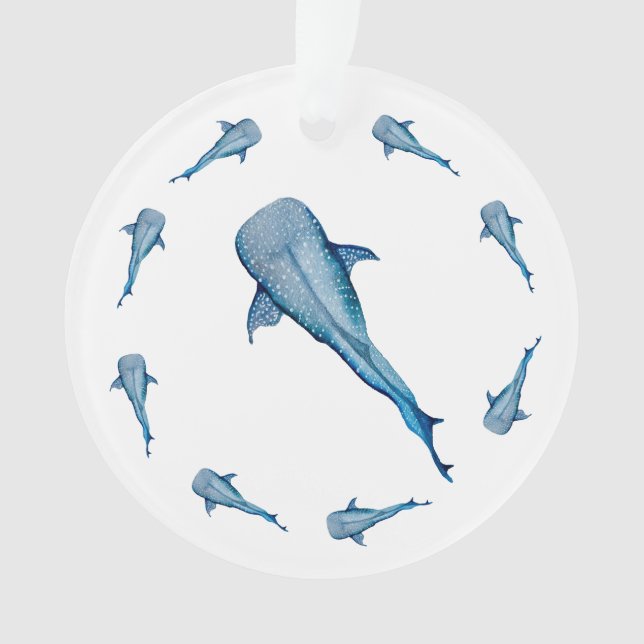 Aquarelle requin (devant)