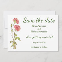 Aquarelle rose oeillets plat Enregistrer la carte 