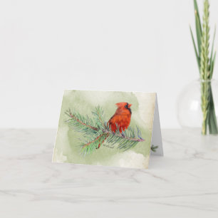 Aquarelle rustique cardinale rouge douce