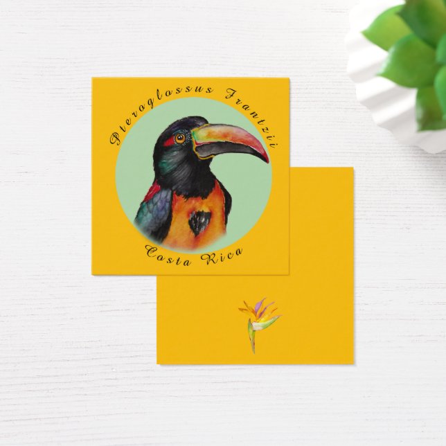 Aquarelle toucan (Bureau)