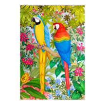 Aquarelle Tropical Macaw Parrots Poster