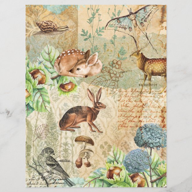 Aquarelle Woodland Forest Animaux Livre papier (Devant)