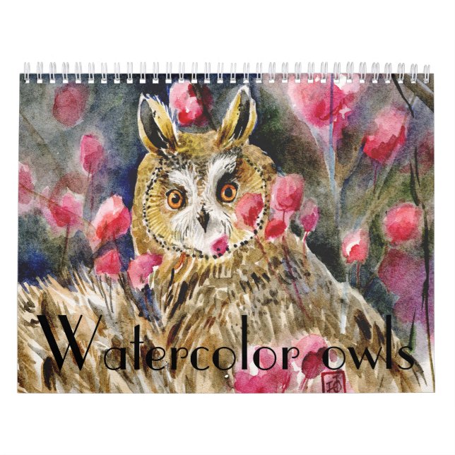 Aquarelleulen-Malereinahaufnahmen Kalender (Titelbild)