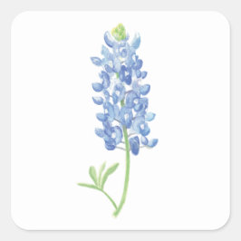 Aquarellfarben Bluebonnet-Blume Quadratischer Aufkleber