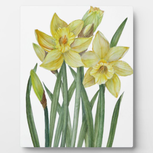 Aquarellfarben Blume Portrait Illustration Fotoplatte (Vorderseite)