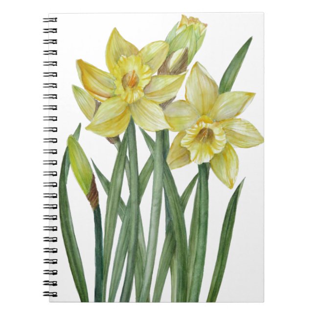 Aquarellfarben Blume Portrait Illustration Notizblock (Vorderseite)