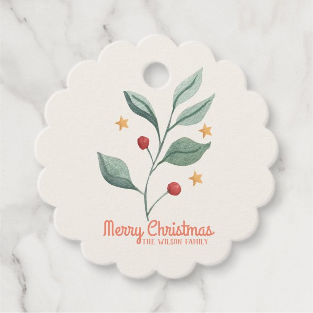 Aquarellfarben mistletoe Star Weihnachtsweihnachts Geschenkanhänger (Vorderseite)