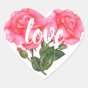 Aquarellfarben Rosa Rose Illustration Liebe Herz-Aufkleber