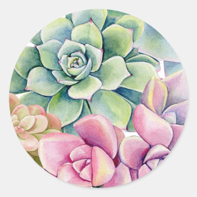 Aquarellfarben Sukkulationen Bouquet Sommer Runder Aufkleber (Vorderseite)