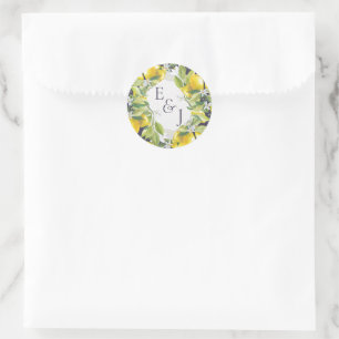 Aquarellfarben Zitrusfrüchte-Hochzeitmonogramm Runder Aufkleber