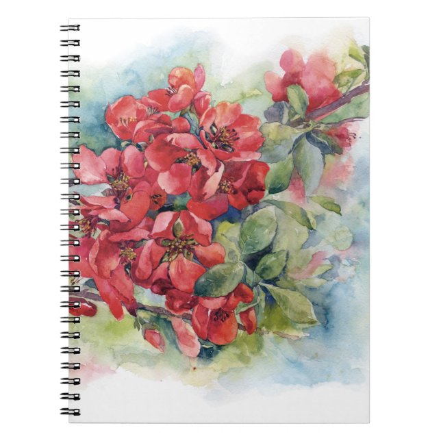 Aquarellfarbene Blume Rotapfel-Quitte-Blüte Notizblock (Vorderseite)