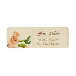 Aquarellfarbene Peach Carnation Corners