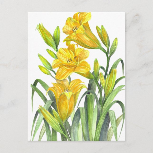 Aquarellgelber Tag Lilies Blumenbilder Postkarte (Vorderseite)