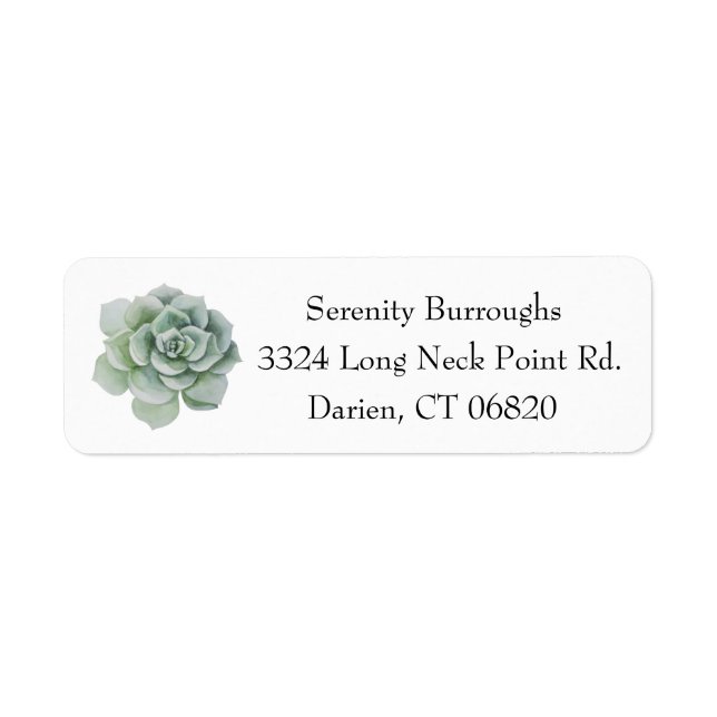 Aquarellkaktus Kakteen Miniggrün (Vorne)