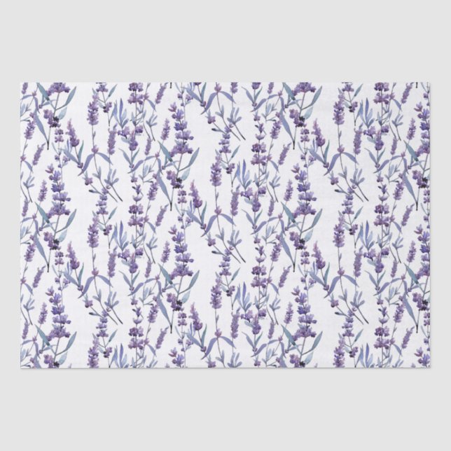 Aquarelllavener-Blume auf Weiß Seidenpapier (Vorderseite)