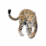 Aquarellleopard-Urwaldkatze grün gestrichen Fotoskulptur Ornament<br><div class="desc">Aquarellmalerei eines Leoparden... mein Geiststier!</div>