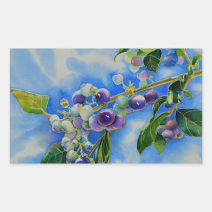 Aquarellmalerei auf Blaubeere Rechteckiger Aufkleber