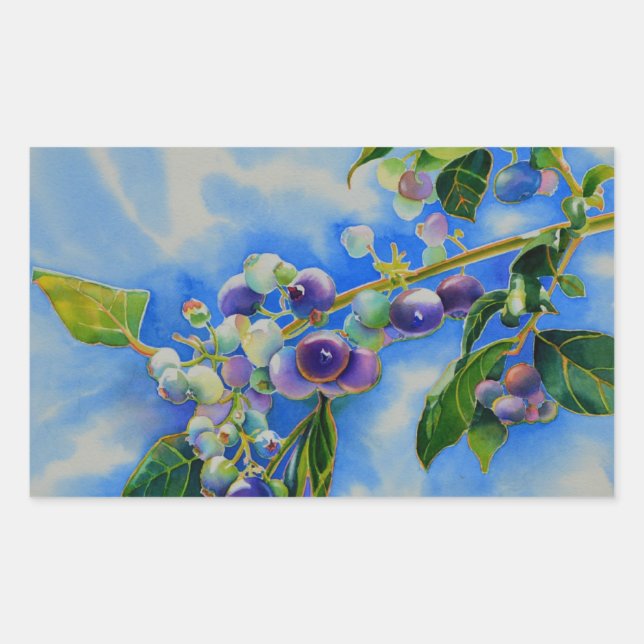 Aquarellmalerei auf Blaubeere Rechteckiger Aufkleber (Vorderseite)