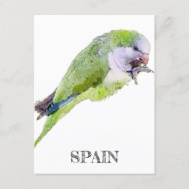 Aquarellmalerei mit grünem Papagei Postkarte
