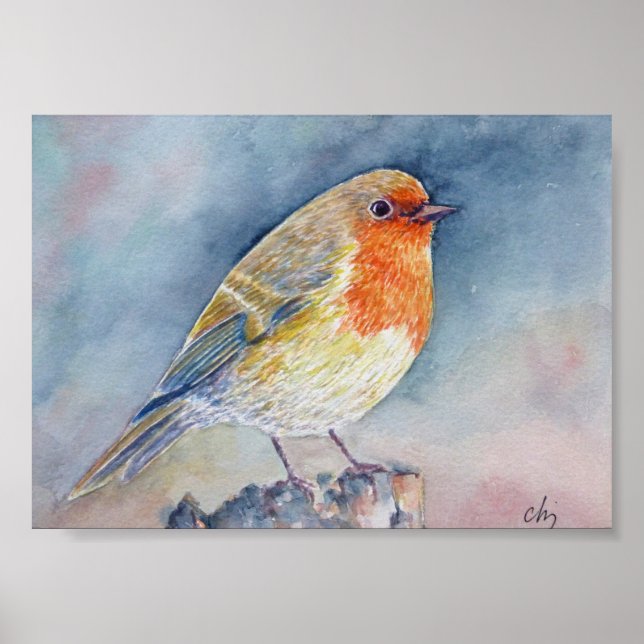 Aquarellmalerei Robin-Vogel Poster (Vorne)