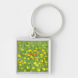 Aquarellmohn Schlüsselanhänger
