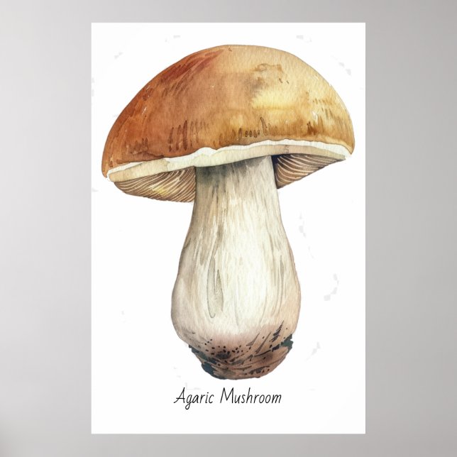 Aquarellmuskulatur Poster (Vorne)